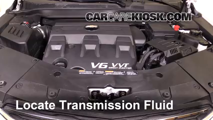 Transmission Fluid Level Check Chevrolet Equinox (2010-2017) - 2017